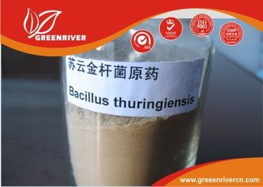 China Weißer Pulver Bazillus thuringiensis Insektenvertilgungsmittel zur lepidopterous Larvensteuerung fournisseur